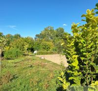 Gardens in Bruty with greenery and a clear blue sky.