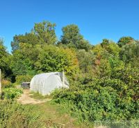 Gardens in Bruty with a greenhouse surrounded by dense greenery and a clear sky.