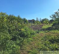Gardens in Bruty with a house, fruit trees, and vineyards under a blue sky.