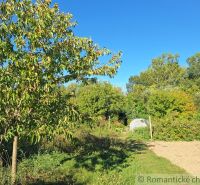 Gardens in Bruty with lush greenery and a clear blue sky.