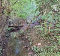 A natural stream flowing through dense gardens in Bruty, surrounded by greenery and trees.
