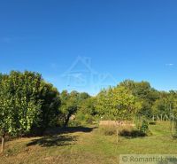 Gardens in the village of Bruty with fruit trees and a clear blue sky.
