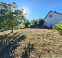 A garden in Bruty, a sunny place with a tree and a house on a gentle hill.
