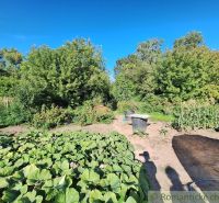 A garden in Bruty with lush vegetation, flower beds, and a blue sky.