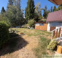 A garden at the cottage in Látky with a lawn, trees, and a view of the forest.