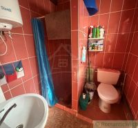 A bathroom in a cabin with a toilet and a shower, red tiles.