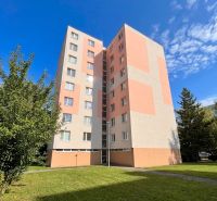 Apartment building on Žilinská in Trenčín with a diverse exterior and lawn.