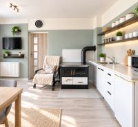 Living room and kitchen in a family house with wood decor and plants.