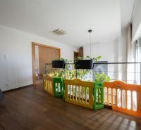Interior with railing, playpen, hanging flower pots, and floor with wooden decor.