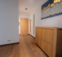 A hallway with a cabinet and a wooden decor floor in a 4-room apartment.