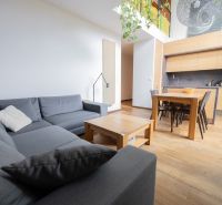Living room with a gray sofa, kitchenette, and wood-patterned flooring.