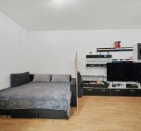 Living area in a studio apartment with wood-patterned flooring, a sofa, and a television.