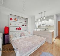 1-room apartment with storage space, bed, and kitchen, floor with wood decor.