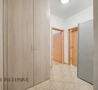Hallway of a 1-room apartment with storage space and doors to other rooms.