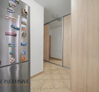 Hallway in a one-room apartment with tiles and a fridge decorated with magnets.