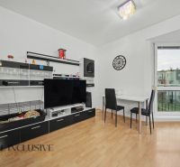 Living room in a studio apartment with furniture, a television, and a wooden decor floor.