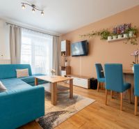 A bright living room in a 3-room apartment with a blue sofa, wooden decor, and a TV on the wall.