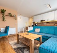 Living room in a three-room apartment with a blue sofa and a wooden decor floor.