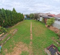 Garden of a family house on Jesenského Street in Levice with a lawn and trees.