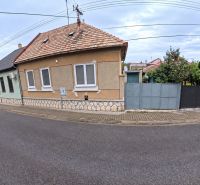 Family house on Jesenského Street in Levice, facade, front garden, paving, street.