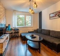 Living room in a 3-room apartment with a sofa, table, and floor with a wooden decor.
