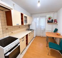 A kitchen in a one-room apartment with a wooden decor floor, dishes, and appliances.