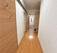 A hallway in a one-room apartment with a wooden decor floor and a built-in wardrobe.