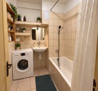 A bathroom in a one-room apartment with a bathtub, washing machine, and shelves for decorations.