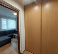 A one-room apartment with a sofa, a large wardrobe, and a floor with a wooden decor.
