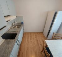 A kitchen in a studio apartment with a wood-patterned floor and white cabinets.