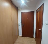 A hallway in a one-room apartment with a wooden decor floor and wooden doors.
