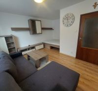 Living room with a sofa, wooden decor flooring, and wall clock in a studio apartment.