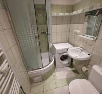 Bathroom in a one-room apartment with a washing machine, shower, sink, and toilet.