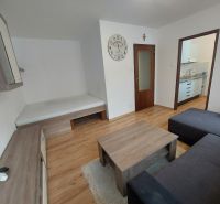Living room in a studio apartment with wood-patterned flooring and a sofa.