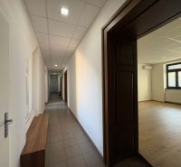 Office interior with wood-patterned flooring and a hallway.