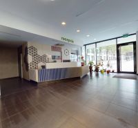 Reception in offices with modern decorations and plants at the entrance.