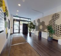 Reception with a decorative wall, mailboxes, and plants in offices.