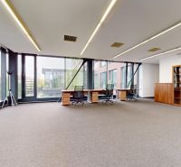 Spacious offices with glass walls and wooden furniture, creating an open workspace.