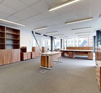 Spacious offices with furniture and large windows, floor with wood decor.
