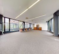 Spacious offices with glass walls, work desks, and a green view.