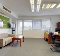 Offices with a sofa, desk, chairs, and a green wall, furnished for work purposes.