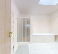A spacious room with a shower corner and a skylight on the ceiling in the office.