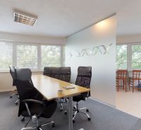 Offices with a conference table, swivel chairs, and large windows with a view.