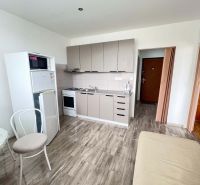 A kitchenette in a studio apartment with a wood-patterned floor, kitchen cabinets, and appliances.