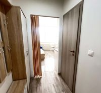 A narrow hallway with a wooden decor floor leads to a bright room in a studio apartment.