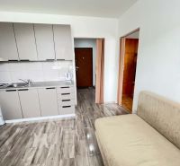A kitchen unit with grey cabinets and a sofa in a studio apartment with a wood-patterned floor.
