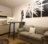 Living room in a studio apartment with a sofa and a kitchenette, wooden decor flooring.