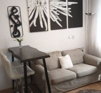 Living room with a sofa and a bar table in a studio apartment with decoration.