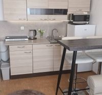 Kitchen unit with appliances and table in a studio apartment with a wooden decor floor.