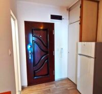 Wooden decor, entrance door, and refrigerator in a studio apartment.